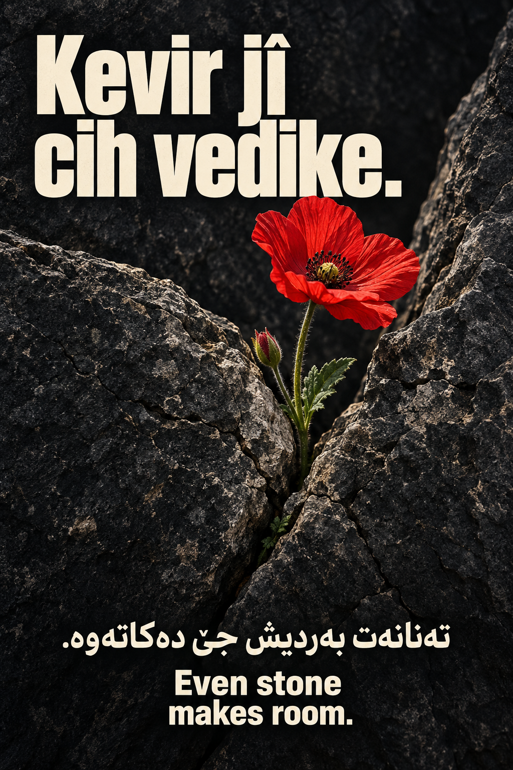 Kurdish motivational poster with ivory lettering on dark stone, a red wildflower growing through a crack, and Sorani and English translations.