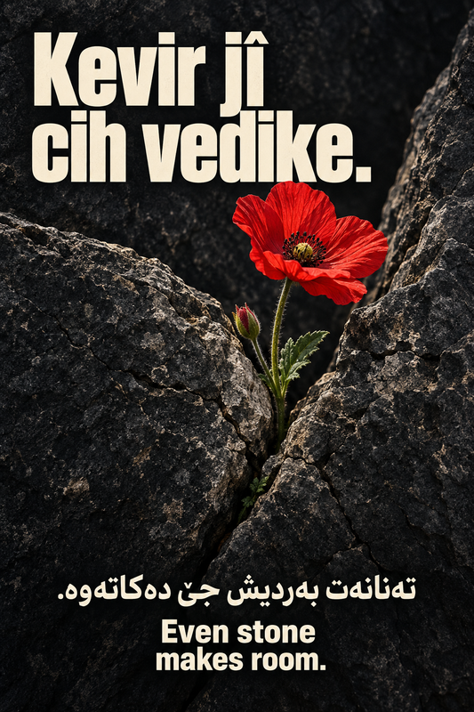 Kurdish motivational poster with ivory lettering on dark stone, a red wildflower growing through a crack, and Sorani and English translations.